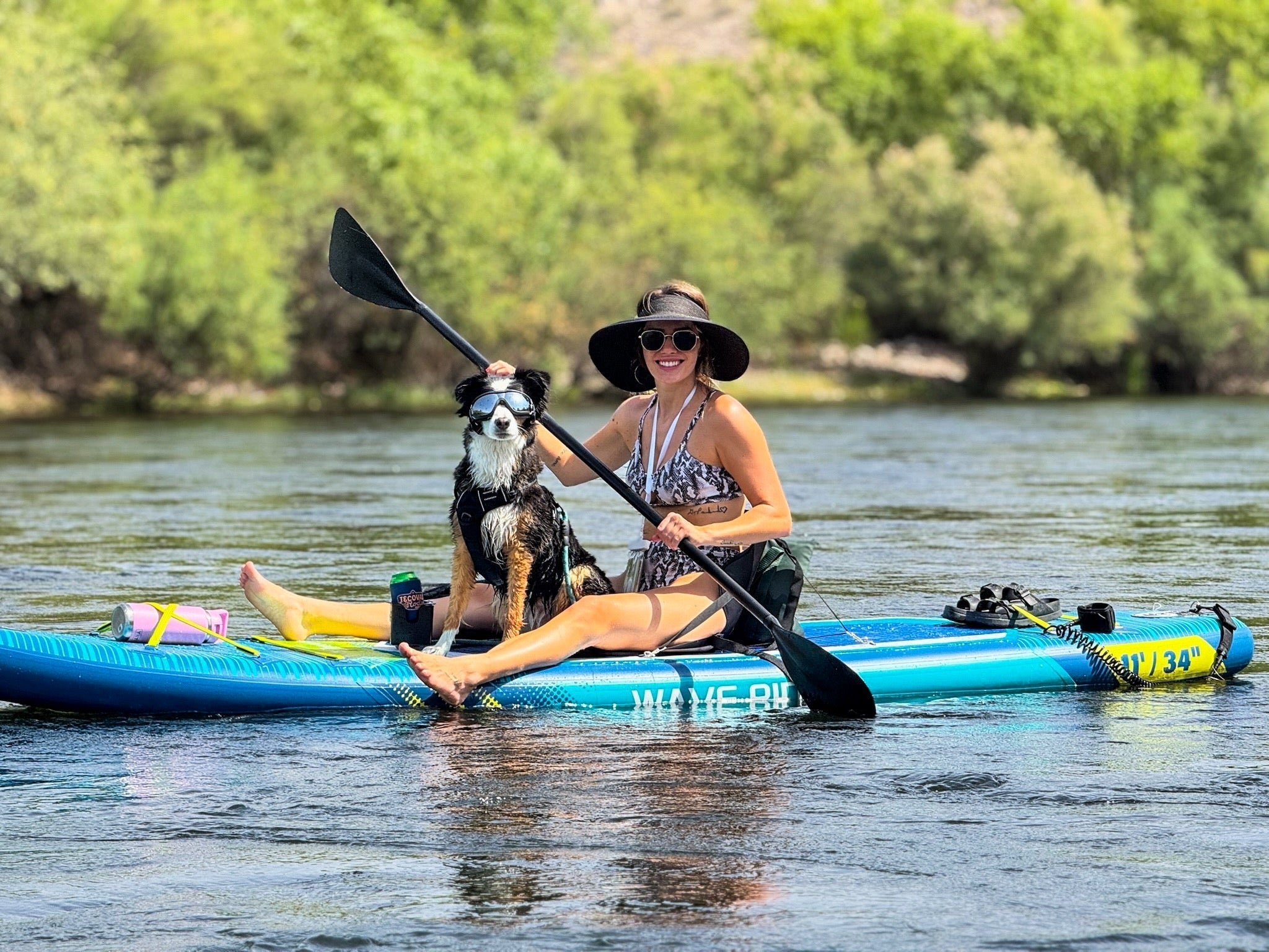 Can Dogs Ride on Paddle Boards? A Complete Guide for Pet Owners