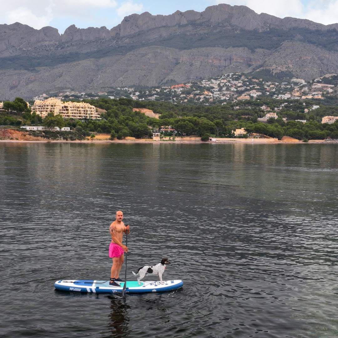 TIGERXBANG Defender 10' All Round Stand Up Paddle Boards